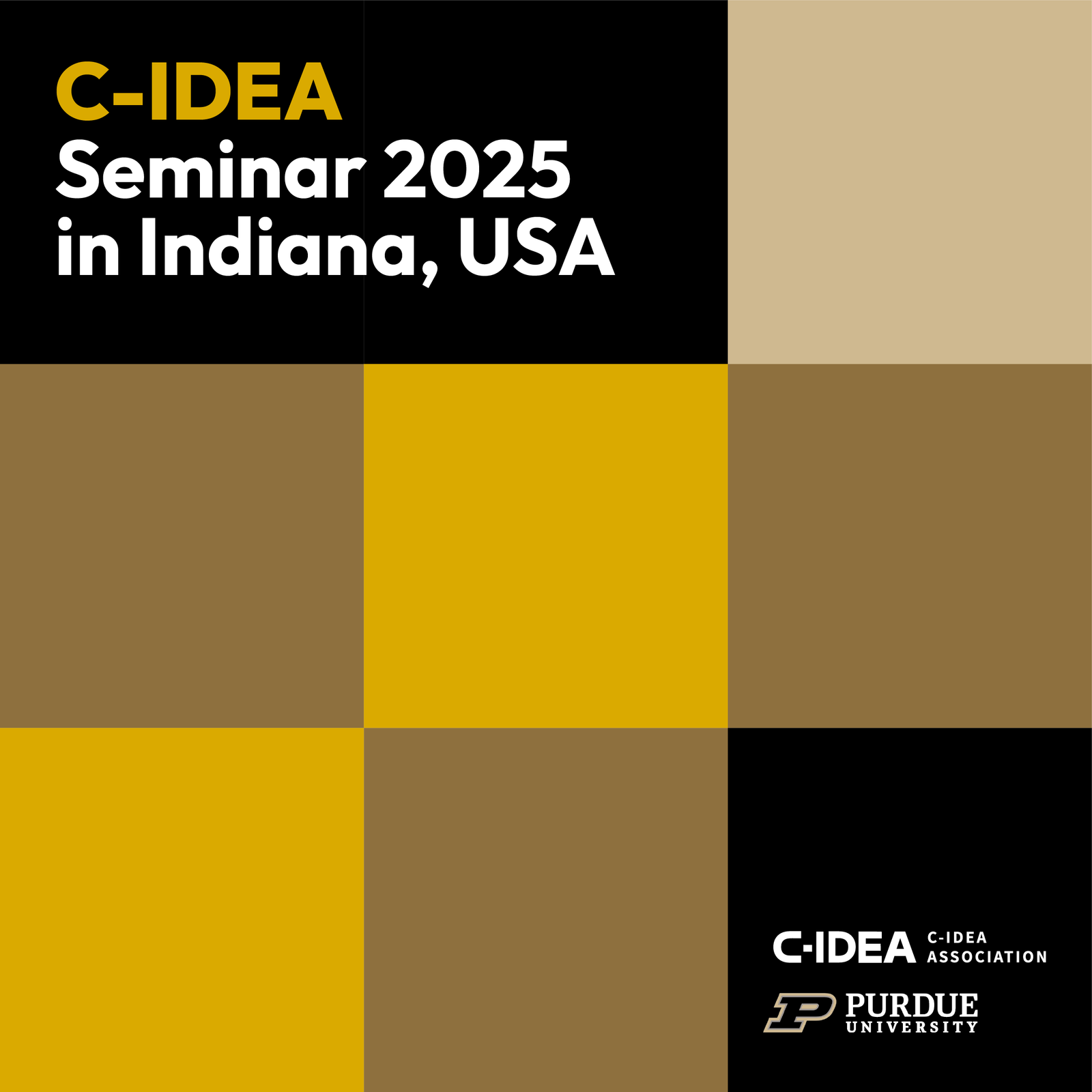 C-IDEA In Indiana, USA